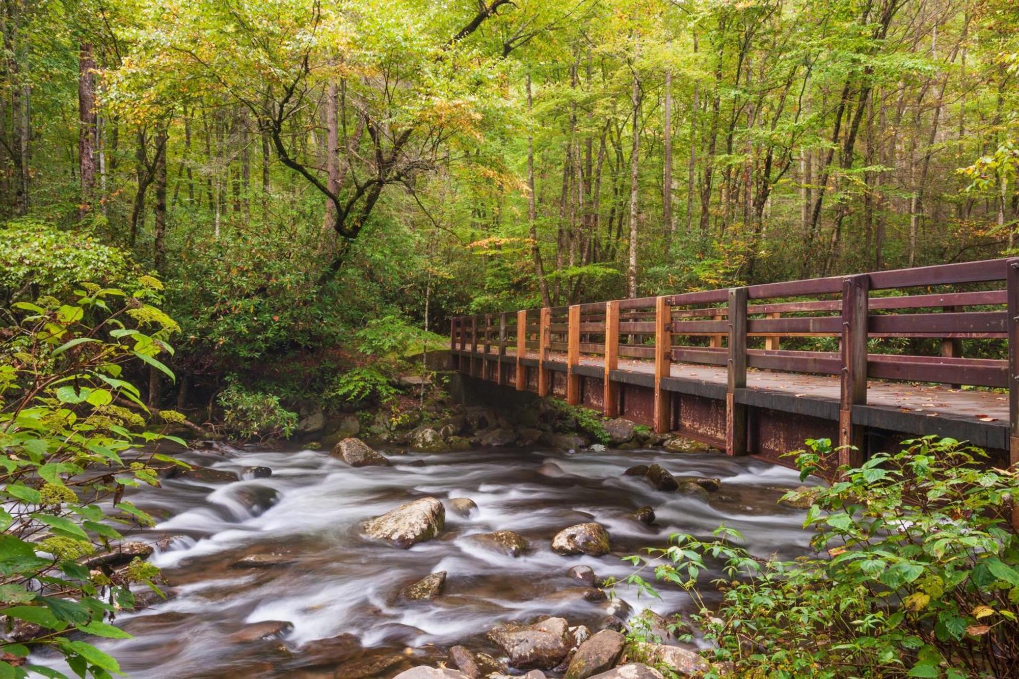 Breathtaking View, Hot Tub, 1089 Of Free Attraction Tickets For Each Paid Day, Dollywood And More! Sevierville Esterno foto